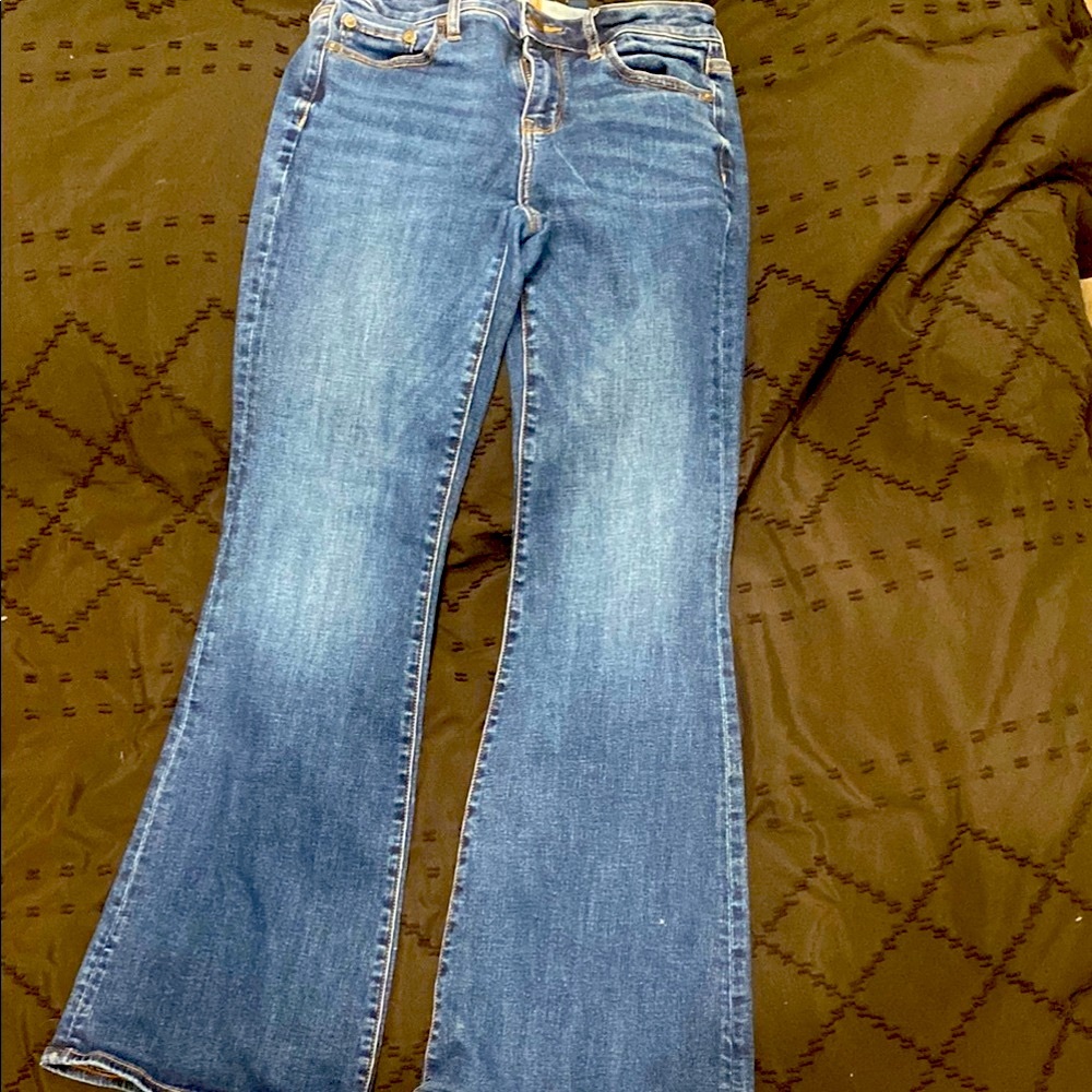 American Eagle Outfitters Blue Flare Wide Leg Jeans
